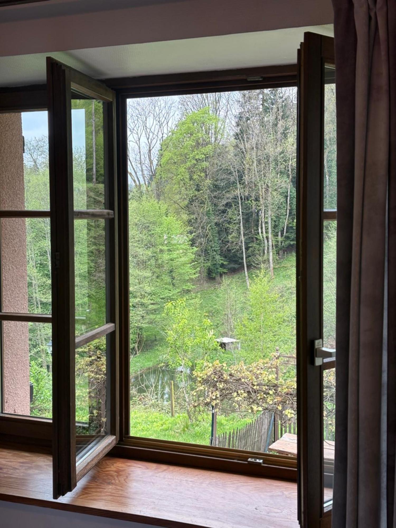 La Belle Charbonniere Hotel La Grande Fosse ห้อง รูปภาพ